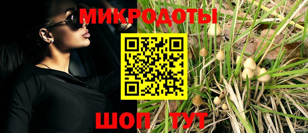 Галлюциногенные грибы Psilocybe Туапсе